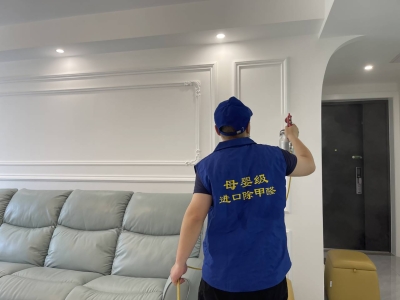 河西仁恒公园世纪